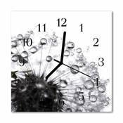 tulup.si Steklena kvadratna ura Dandelion 30x30 cm