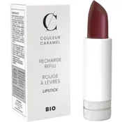 Couleur Caramel Ruž za usne za ponovno punjenje - n°240 Stolen Kiss