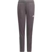 Hlače adidas TIRO TK PNTYGCU