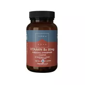 Terranova vitamin B6 50mg 50 kapsula