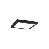 Paulmann 70985 - LED/22W Stropna svjetiljka ABIA 230V