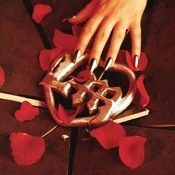 Leatherman - Turn You On (Limited Edition) (Red Coloured) (LP)