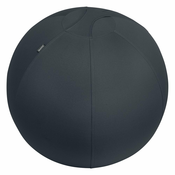 Ergonomska lopta za sjedenje s utezima o 65 cm Ergo – Leitz