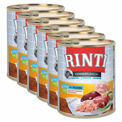 Konzerva RINTI Junior - piščanec 6x800 g