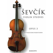 ŠEVČIK:SCHULE DER VIOLINTECHNIK OP.3