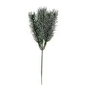Lilium buket jelovina snezni 1x5,25cm 141083