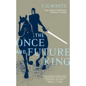 Once and Future King