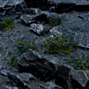 Blue Flowers - Wild