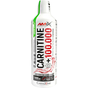 Amix Carnitine 100.000 1000 ml, mango-kokos