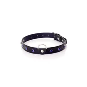 Gardj Europe Fetish B – ovratnica iz serije – 2 cm, temno modra s kristali