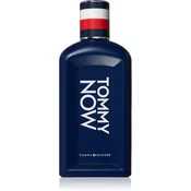 Tommy Hilfiger Tommy Now Eau de Toilette for men 100 ml
