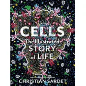 Cells