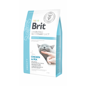 Brit | Cat Obesity