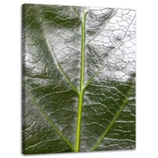 shumee Platno z motivom praprotnega lista, 30x40 cm