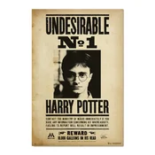 Harry Potter PLAKAT HARRY POTTER NEZAŽELEN N1, (20837401)