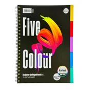 College Format Werk Ursus A4 zvezek 100 listov kvadratni barvni indeks