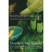 Wonderful Life