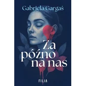 Za późno na nas wyd. kieszonkowe