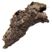 Dekoracija Repti Planet Korkova skorja M 15-30cm