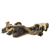 AQUA DELLA MOPANI WOOD 2