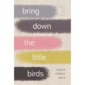 Bring Down the Little Birds
