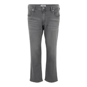 Jack & Jones Plus Kavbojke Mike siva
