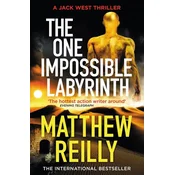 One Impossible Labyrinth