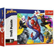 Puzzle 30 spider 18307 103026 ( 125/83078 )