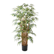 Bambus 145 cm - zelena - 101 do 150 cm