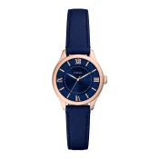 Fossil Satovi