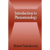 Introduction to Phenomenology