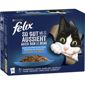 Felix Fantastic - Ribji izbor, 12 x 85 g