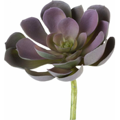 Lene Bjerre Okrasna sočna FLORA