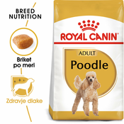 ROYAL CANIN hrana za pse MINI POODLE (PUDL) 500G