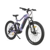 Top pogon Električno kolo JOBO (740Wh 15Ah)
