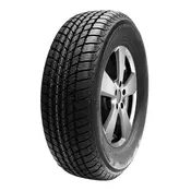 Mastersteel Winter + ( 215/50 R17 95H )