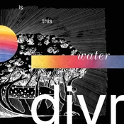 divr - Is This Water (LP)