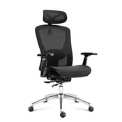 Expert 5.3 Crna mrežasta ergonomska stolica