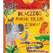 shumee Zakaj pavijan ne mara želve ali miti ...