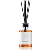 Laboratorio Olfattivo Laboratorio Olfattivo Distillate 17 Diffuser 200 Ml