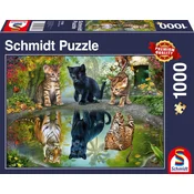 Schmidt Puzzle Dream Big 1000 kosov