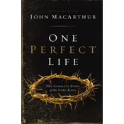 One Perfect Life