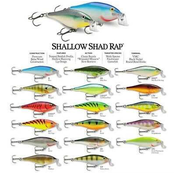 Vobler Rapala Shad Rap Shalow Runner SSR05