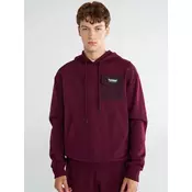 Moški pulover s kapuco HMLGRAYSE HOODIE