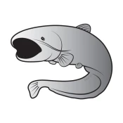 Nalepka Delphin Sticker Cat Fish Silver