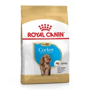 Royal Canin Cocker PUPPY 3kg – Hrana za štence koker španijela