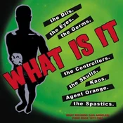 Various Artists - What Is It - What Records Punk Rock 1977-1983 (10")