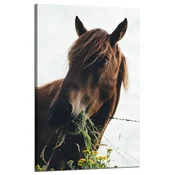 shumee Slika na platnu Živali Konjska glava 50x80 cm Konjski hlev
