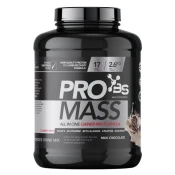 PRO MASS 2.6KG BASIC SUPPLEMENTS - Milk Chocolate