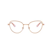 Swarovski Naocare SK 1022 4014